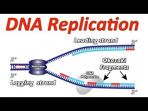 dna synthesis animation
